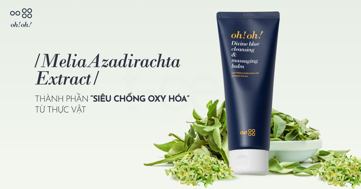 /Melia Azadirachta Extract/ - The "Super Antioxidant" Ingredient from Plants