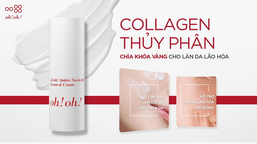 COLLAGEN THỦY PHÂN: CHÌA KHÓA VÀNG CHO LÀN DA LÃO HÓA